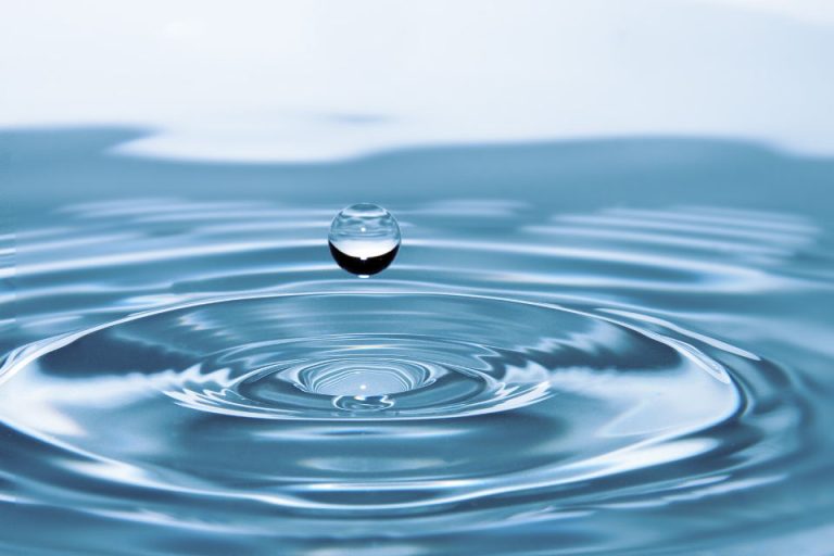Biodegradable: What it Means When a Cleaning Product Biodegrades