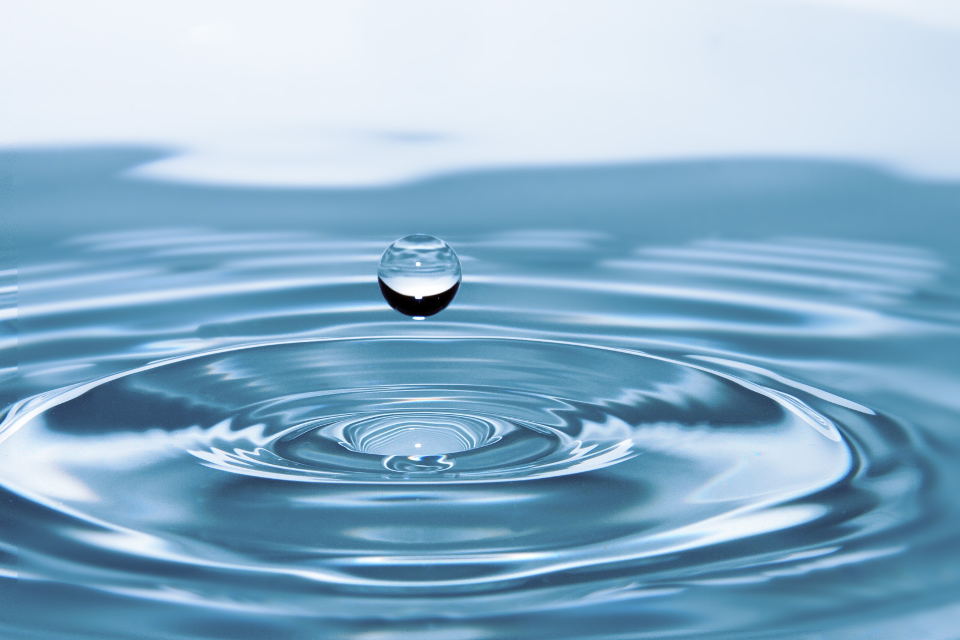 Biodegradable: What it Means When a Cleaning Product Biodegrades