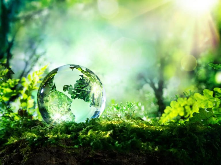 Why You’re Seeing More “Eco-Labels” On Your Cleaning Products